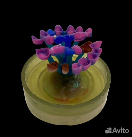 Зуботехническая лаборатория