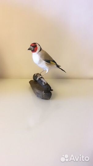 Ватная интерьерная игрушка птичка