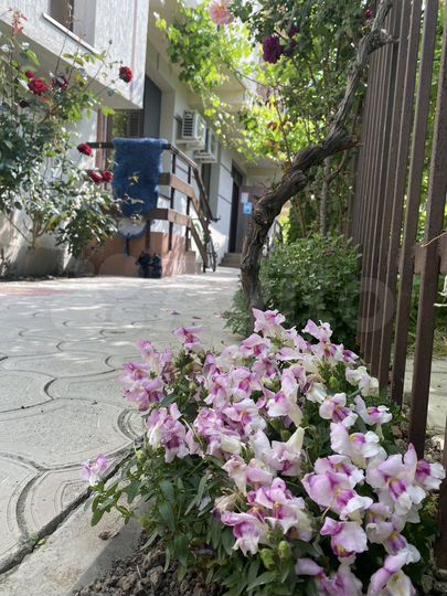 Комната 20 м², 2/4 эт.