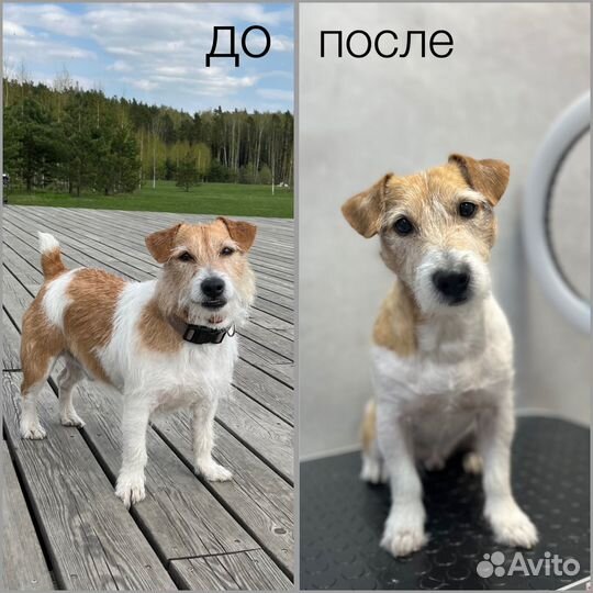 Модели на груминг