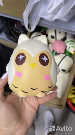 Сквиши новые