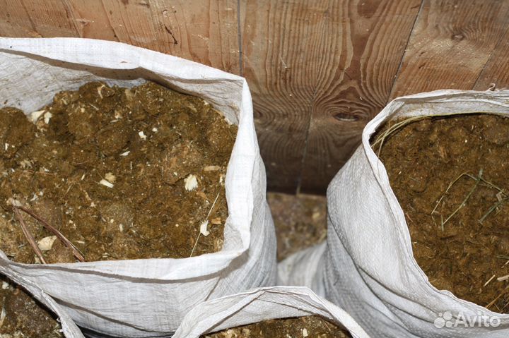 Конский навоз