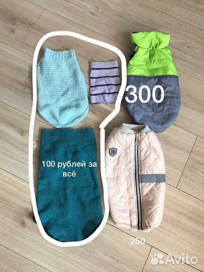 Одежда, ошейники, поводки для собак