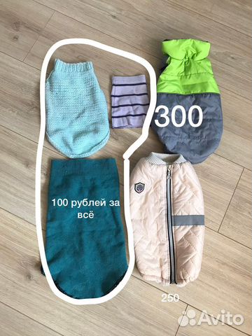 Одежда, ошейники, поводки для собак