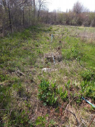 Участок 12 сот. (СНТ, ДНП)