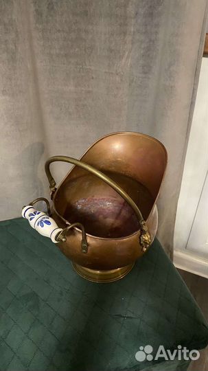 Зольник медный