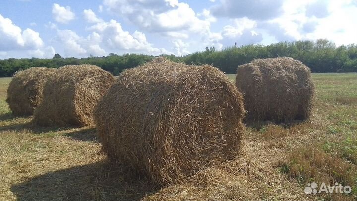 Солома в тюках с доставкой