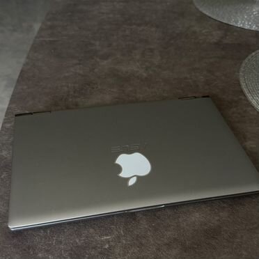 Asus ZenBook UM462D