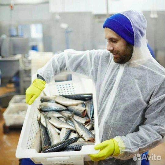 Обработчик рыбы на производство/вахта