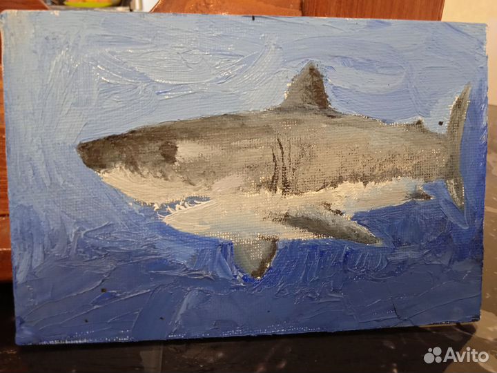 Картина маслом. Акуленок