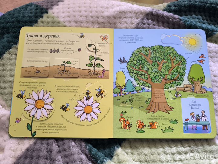 Открой тайны науки. Книга с окошками