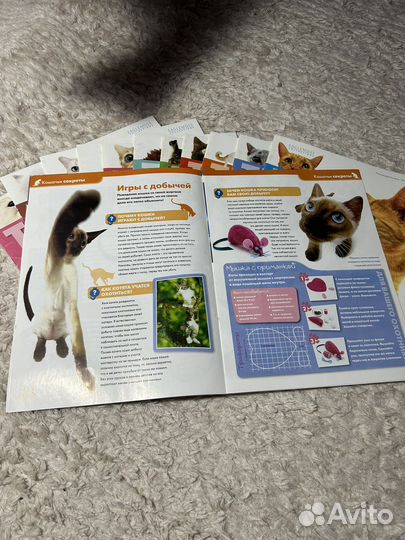 Журналы The cat collection