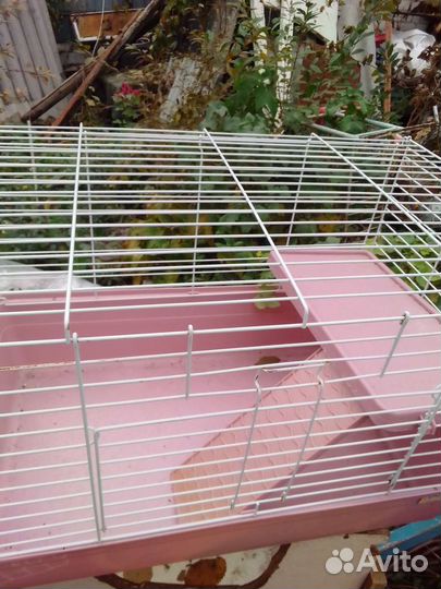 Клетка большая 2