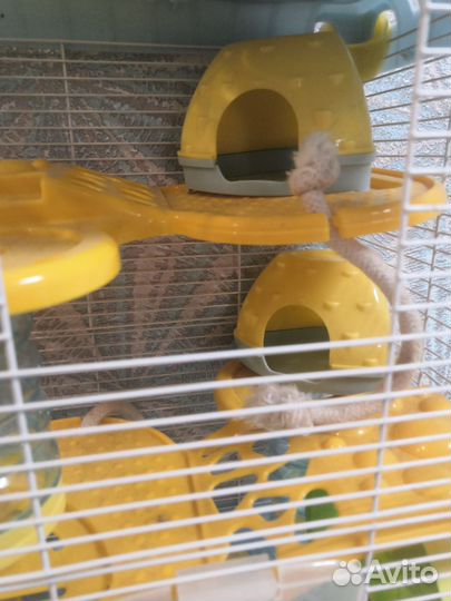 Клетка для хомяка большая бу