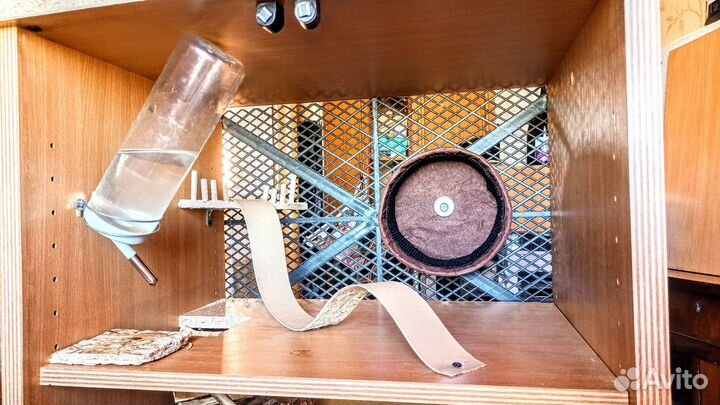 Витрина клетка стеллаж