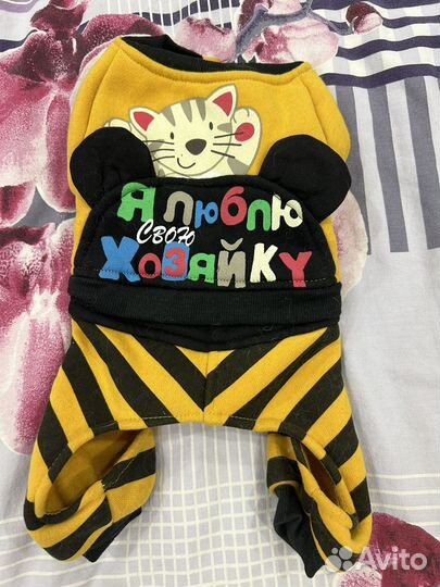 Одежда на собаку/кошку