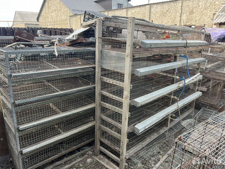 Сетка для перепелов