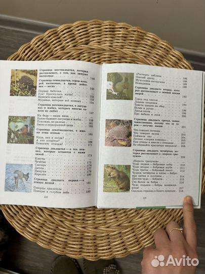 Зеленые страницы Плешаков