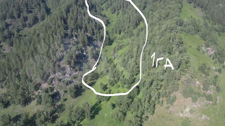 Участок 8 га (СНТ, ДНП)