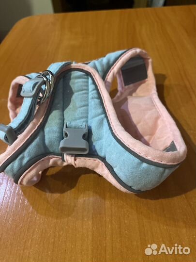 Шлейка для кошки