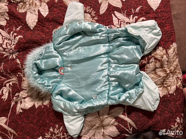 Одежда для собак мелких пород