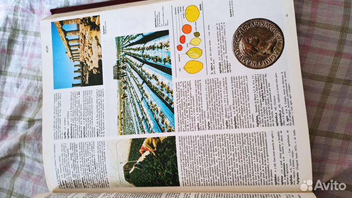 Книга на испанском языке словарь энциклопедия