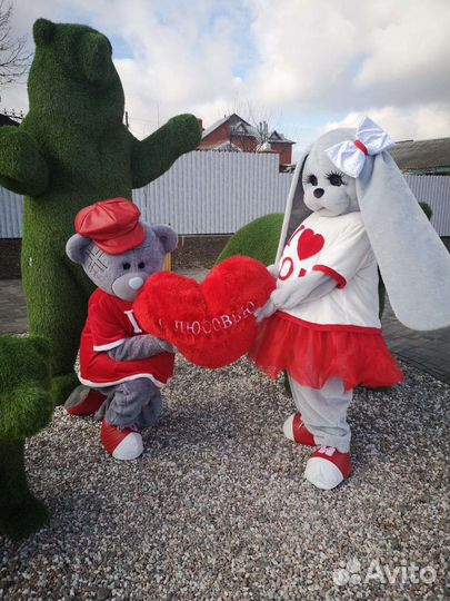 Мишки Тедди