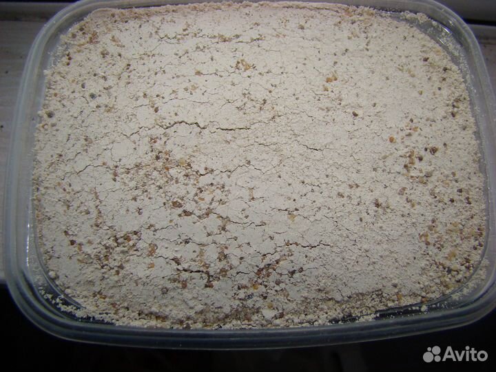 Сухие корма и маты для улиток