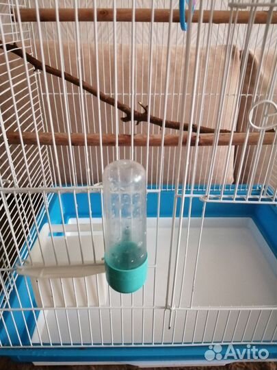 Клетка для попугая корелла