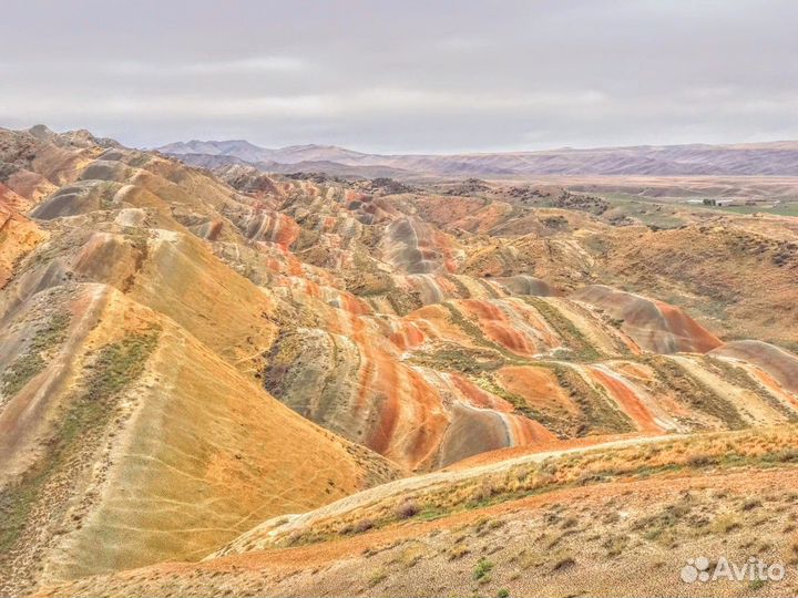 Тбилиси Топ-Экскурсия Грузинское сафари в мини-гру