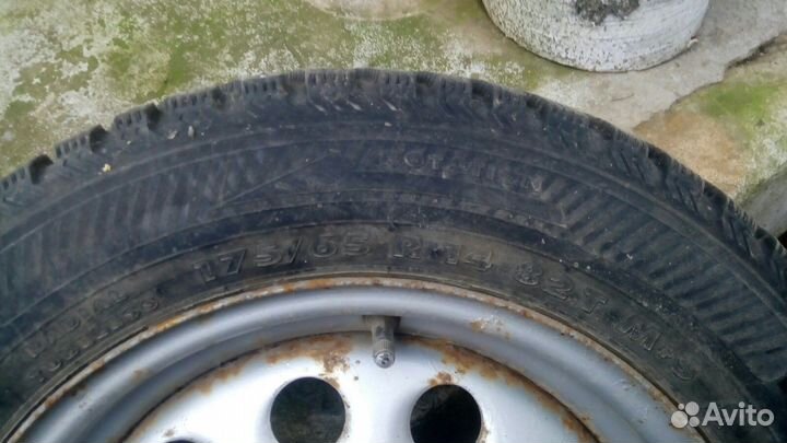 Nokian tyres nordman 7 175 65 r14