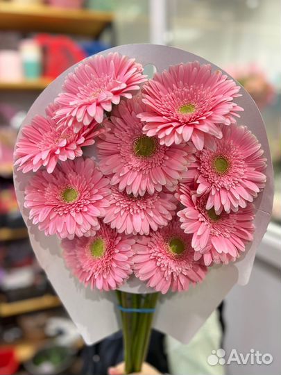 Цветы Герберы