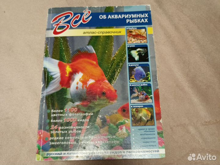 Аквариумные рыбки атлас справочник