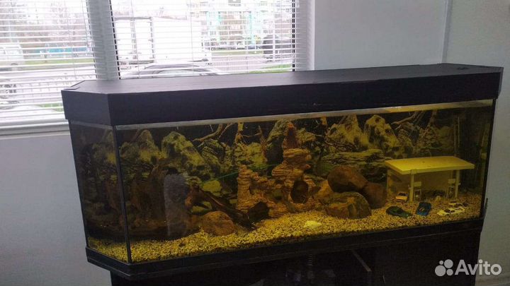 Чистка аквариума