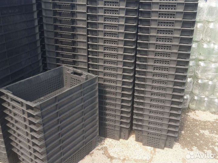 Яшик Пластиковые для овощей с перфорацией