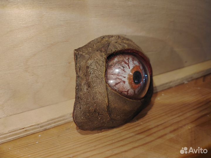 Глаз плоти из Сталкер Тень Чернобыля