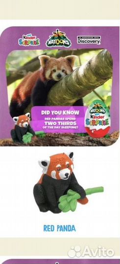 Киндер натунс с пандой