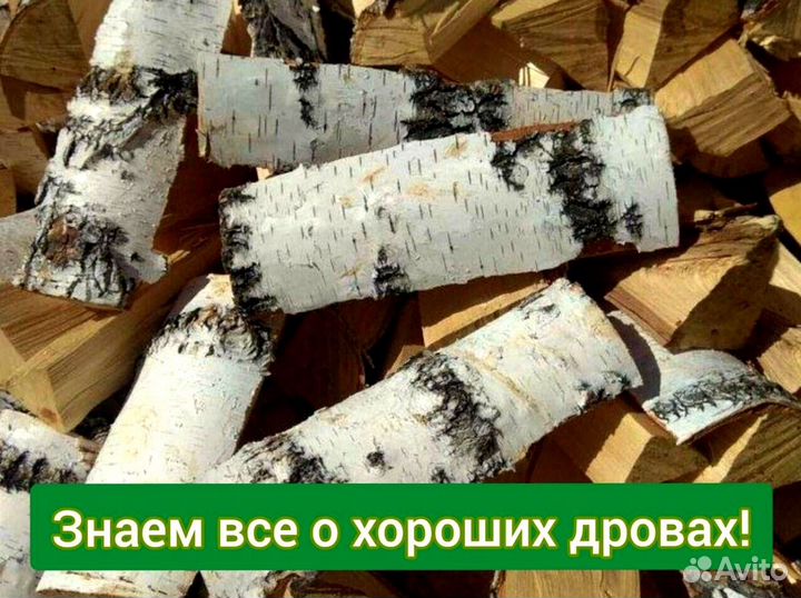 Березовые дрова колотые