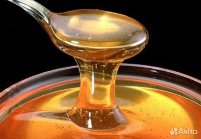 Мед из Алтая опт