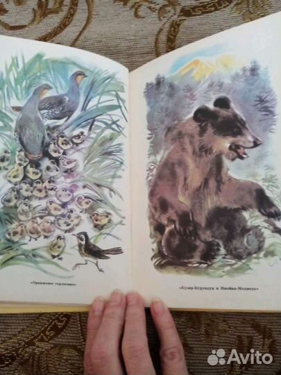 Книги для детей