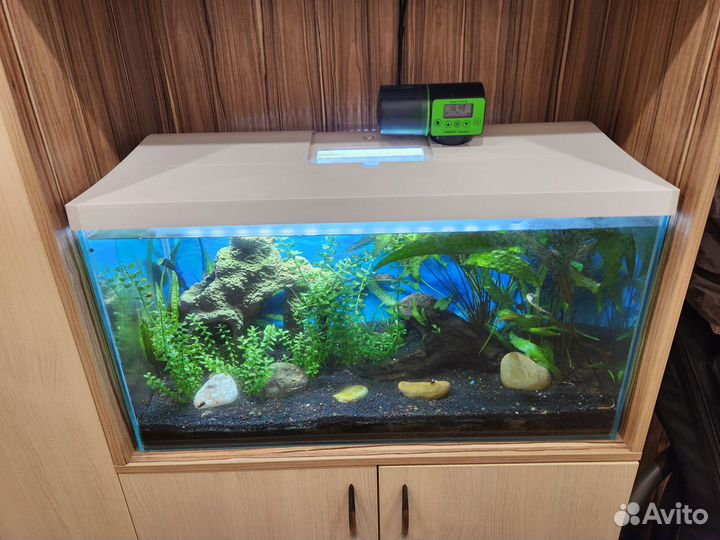 Аквариум