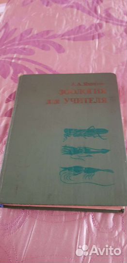 Пособие по зоологии беспозвоночных