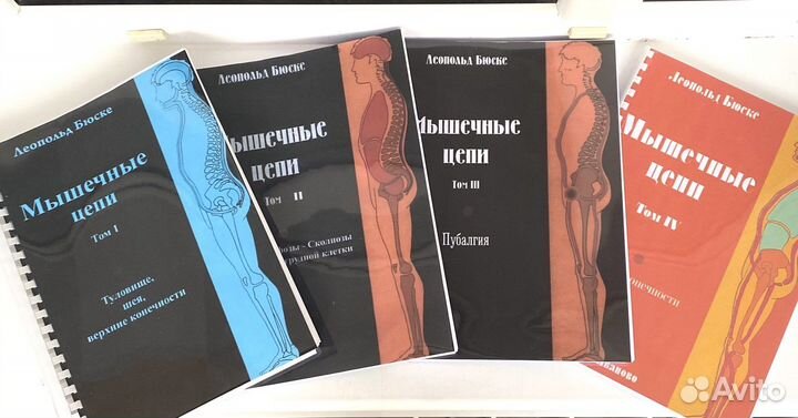 Мышечные цепи Бюске