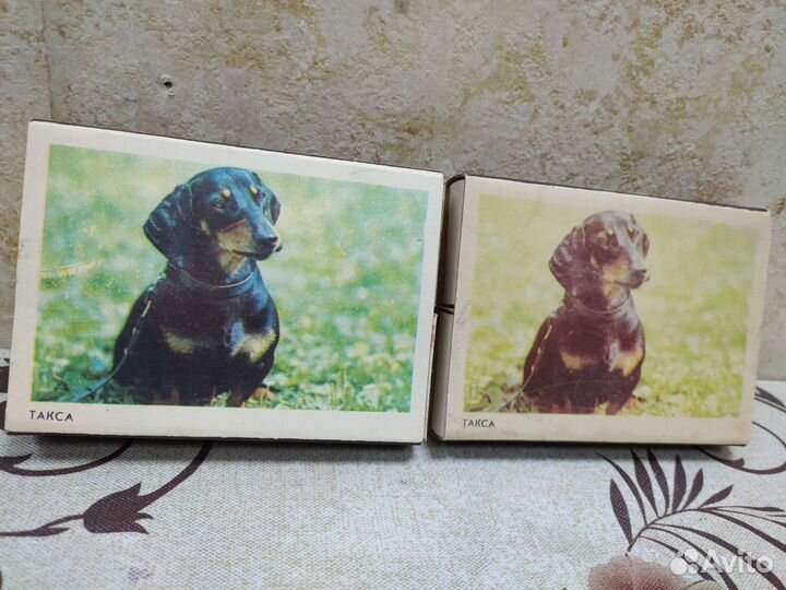 Сувенирные спички СССР такса Пролетарская знамя