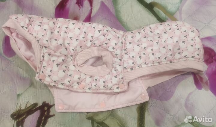 Одежда для собак мелких пород