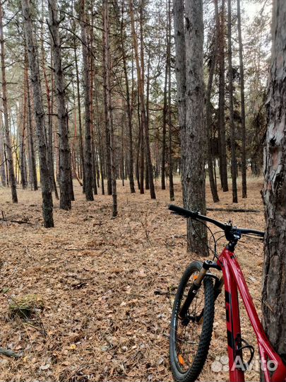 Велосипед GT avalanche elite 29