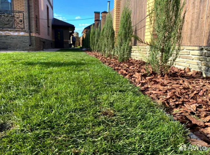 Газон. Рулонный газон