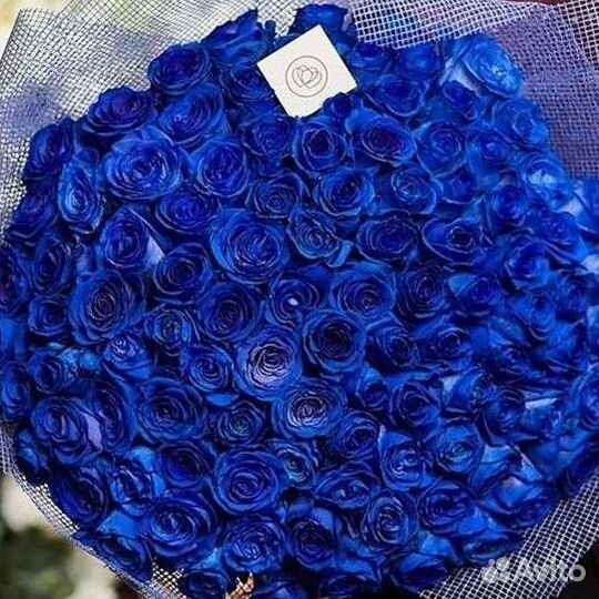 Синие розы Цветы Доставка