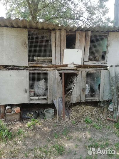 Клетка для кролика 4-х секционная