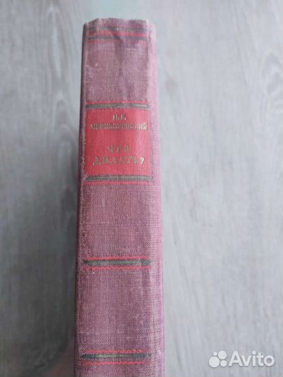 Чернышевский. Что делать